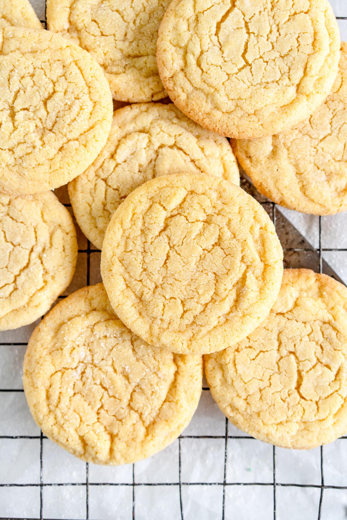 Plain Cookie (Vanilla/Chocolate)